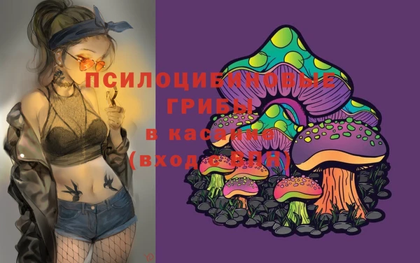 PSILOCYBIN Алексеевка