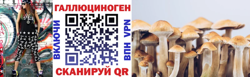 дарнет шоп  Любим  Галлюциногенные грибы прущие грибы 