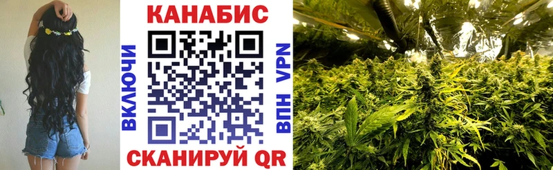 Марихуана сатива  как найти наркотики  Любим 